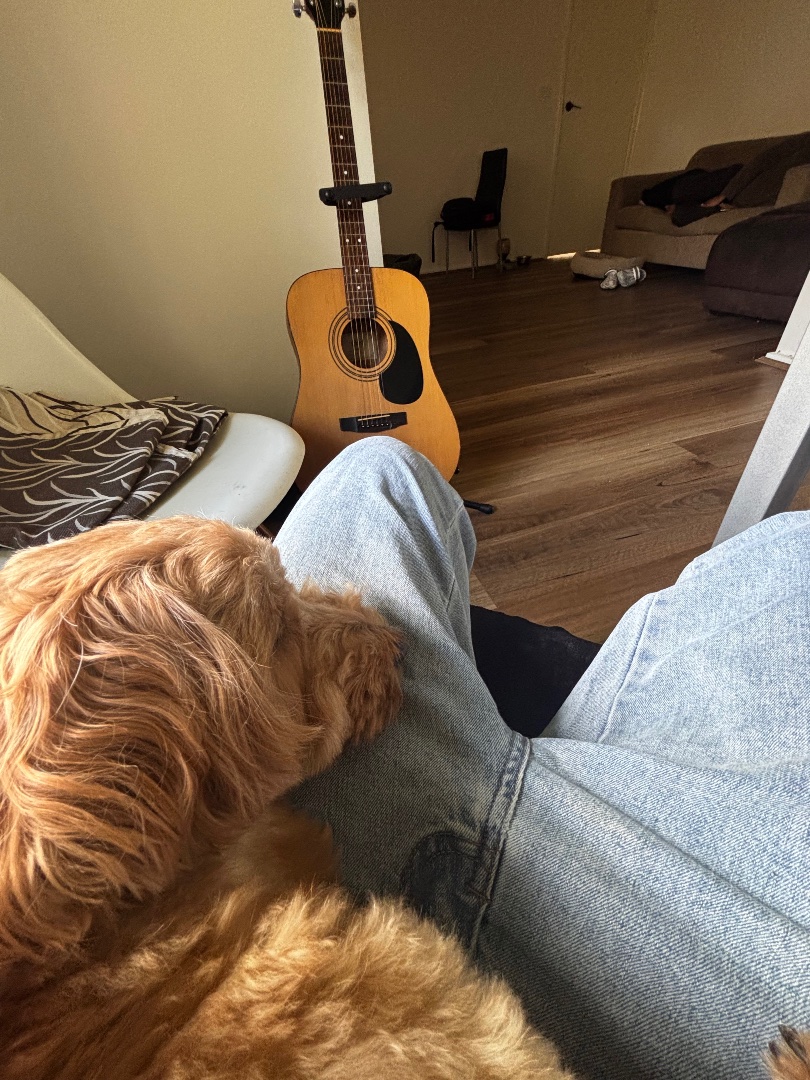 Beginner Acoustic Guitar Basics Tutor